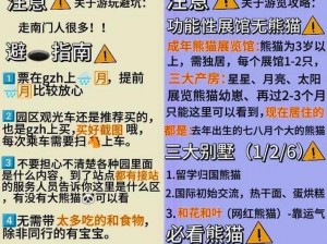 太极熊猫竞技场攻略：如何玩转竞技场并掌握要点