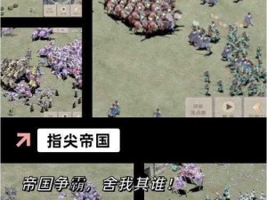 三国策略手游：守护家园之叛军侵袭与野外征战策略详解