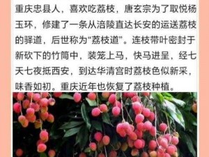 杨贵妃杨玉环牌荔枝，让你品尝到古代贵妃的最爱