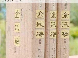 新时代的瑰宝：新金甁梅的传承与创新之旅