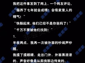 《揭秘隐匿真相：探案躲猫猫的过关之路》