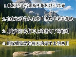 钓鱼发烧友新手入门指南：玩转钓鱼技巧与策略