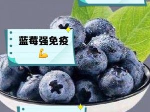 蓝莓视频成人app,蓝莓视频成人 app的下载链接或二维码