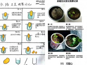 坤坤插括号植物营养土，的植物提供全面呵护