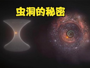 探索源石虫之秘：细腻画面中的生物微观世界