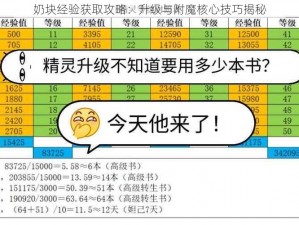 奶块经验获取攻略：升级与附魔核心技巧揭秘