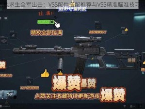 《绝地求生全军出击：VSS配件搭配推荐与VSS精准瞄准技巧详解》