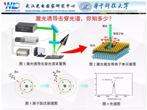 另一类Z00M与人性Z00M;另一类 Z00M 与人性 Z00M：是数字洪水猛兽还是未来之光？