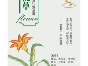 忘忧草一卡二卡三卡_忘忧草一卡二卡三卡：是真的吗？