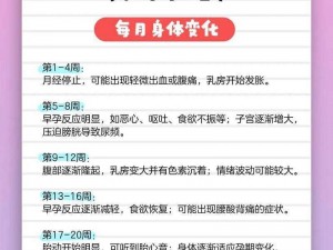 今晚一直到怀孕为止_今晚一直到怀孕为止，我们可以做些什么来提高受孕几率？