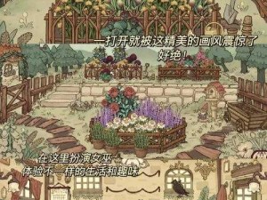 独自编织传奇：一人部落的创造与魔法成长之路