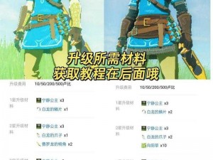 塞尔达传说王国之泪英杰服获取攻略：详解英杰服的寻找与获得方法