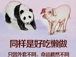 每天在汆肉中醒来和动物【在汆肉中醒来和动物，每天都这样】