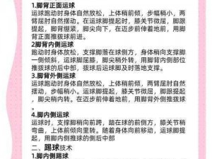 胜利足球之球员解析：球员技能与战术分解新探