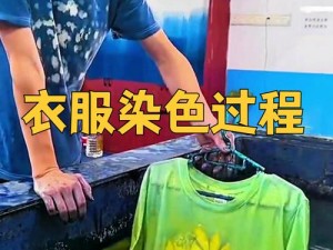 环保科技重塑时尚：衣服染色剂革新带来色彩变革的新纪元