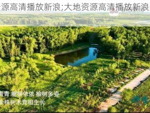 大地资源高清播放新浪;大地资源高清播放新浪是否合法？