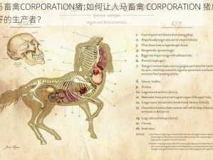 人马畜禽CORPORATION猪;如何让人马畜禽 CORPORATION 猪成为更好的生产者？