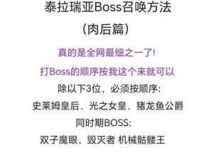 泰拉瑞亚肉山Boss击杀策略：实战技巧全攻略