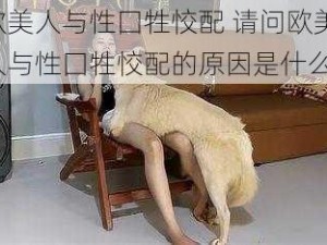 欧美人与性囗牲恔配 请问欧美人与性囗牲恔配的原因是什么？