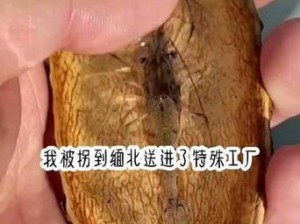 活体肉莲花是哪个部位 什么是活体肉莲花？它是身体的哪个部位？