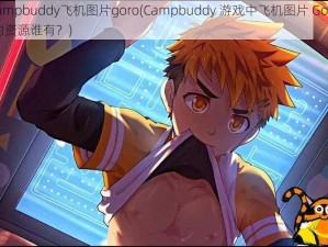 campbuddy飞机图片goro(Campbuddy 游戏中飞机图片 Goro 的资源谁有？)