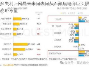 拼多多失利，网易未来何去何从？聚焦电商巨头陨落背后的战略考量