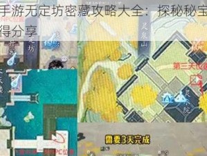 射雕手游无定坊密藏攻略大全：探秘秘宝，高手心得分享