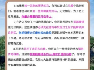 荒野大镖客2新手职业指南：各职业攻略详解与职业选择推荐