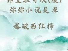 师父不可以限弥弥：一款创新的 XX 产品