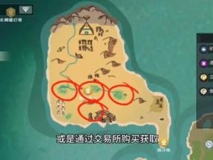 探索创造与魔法之秘：如何获取魔法龟壳的详细指南