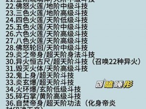 斗破苍穹手游职业攻略：全面解析各职业技能与选择策略