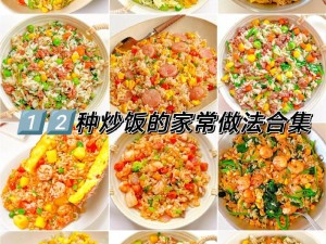 玛娜希斯回响炒饭：独特风味炒饭食谱惊艳你的味蕾