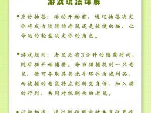 猫鼠手游实战攻略：策略、技巧与胜利之道