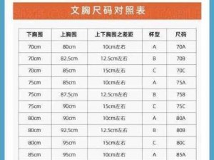 欧洲尺码日本尺码专线揭秘(欧洲尺码日本尺码专线之谜：揭秘背后的秘密)