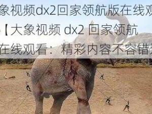 大象视频dx2回家领航版在线观看【大象视频 dx2 回家领航版在线观看：精彩内容不容错过】