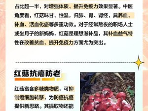 《红圣菇特性分析：如何选择最佳性格推荐》