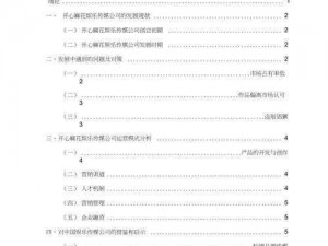 麻花传媒公司介绍 麻花传媒公司是一家怎样的公司？