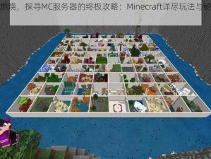 怀旧情怀燃烧，探寻MC服务器的终极攻略：Minecraft详尽玩法与秘密探险地图回顾