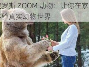 俄罗斯 ZOOM 动物：让你在家中体验真实动物世界