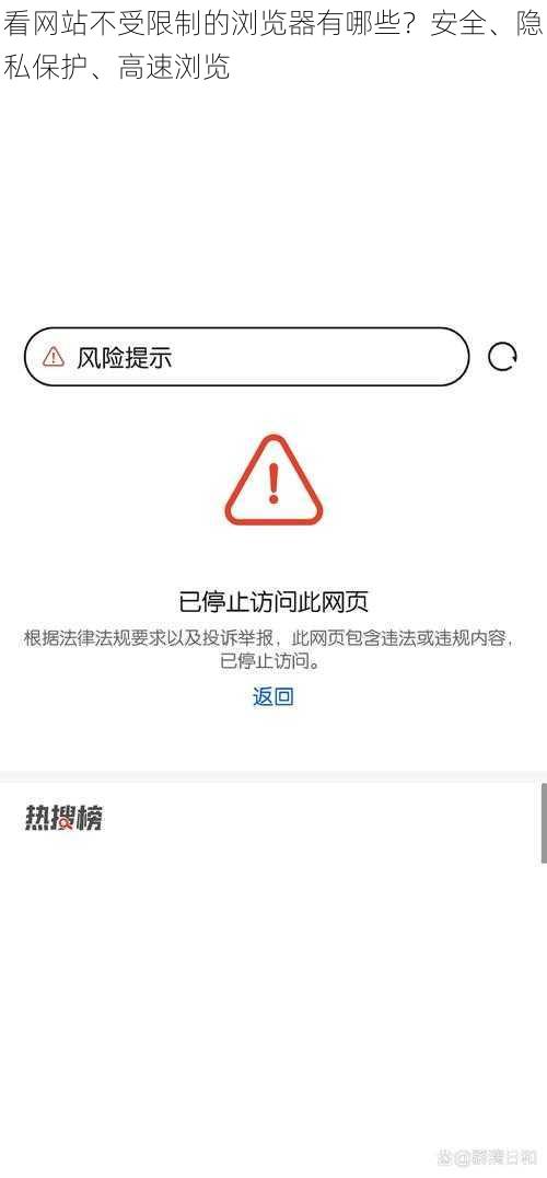 看网站不受限制的浏览器有哪些？安全、隐私保护、高速浏览