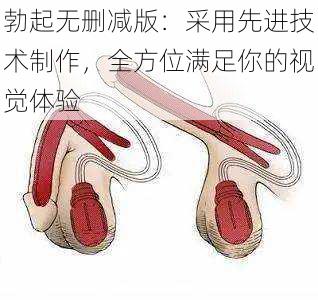 勃起无删减版：采用先进技术制作，全方位满足你的视觉体验