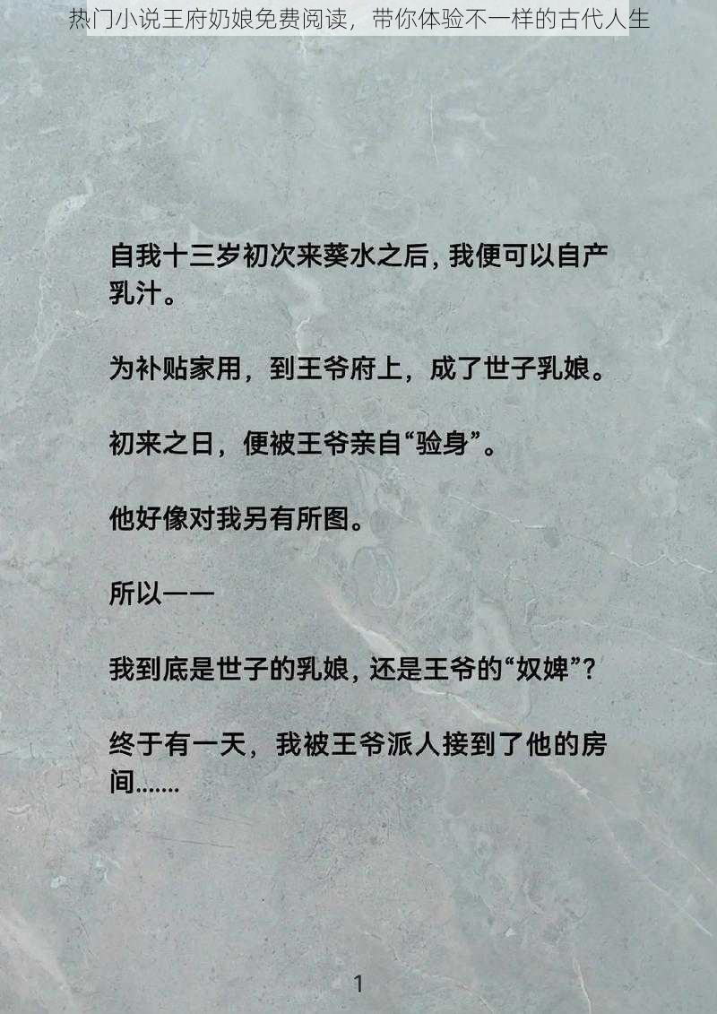 热门小说王府奶娘免费阅读，带你体验不一样的古代人生