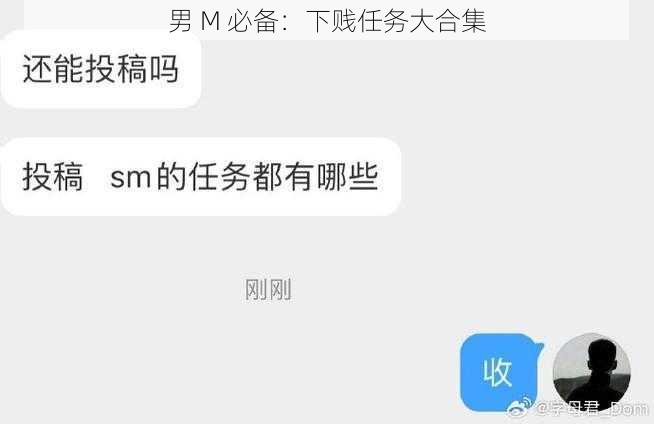 男 M 必备：下贱任务大合集