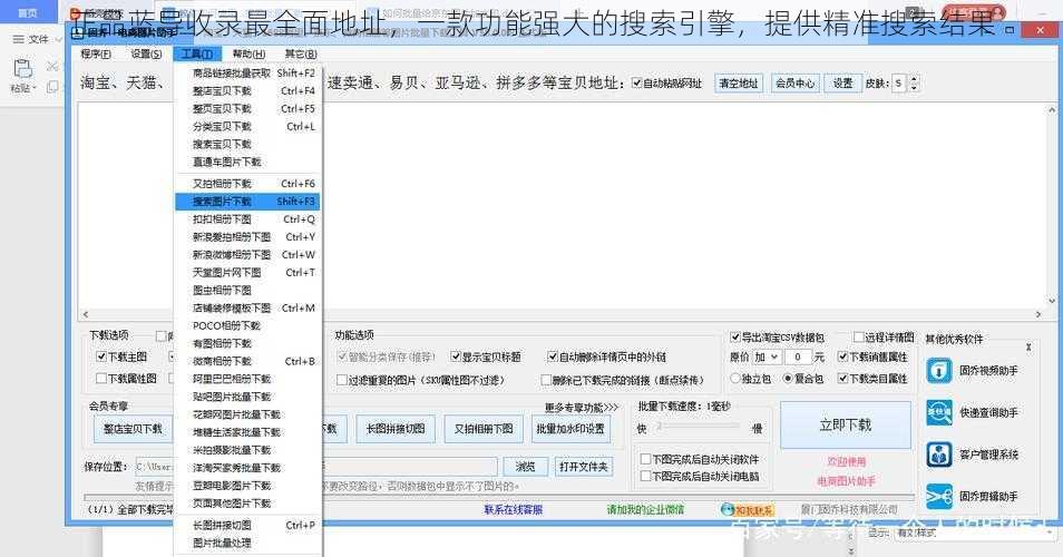 正品蓝导收录最全面地址，一款功能强大的搜索引擎，提供精准搜索结果