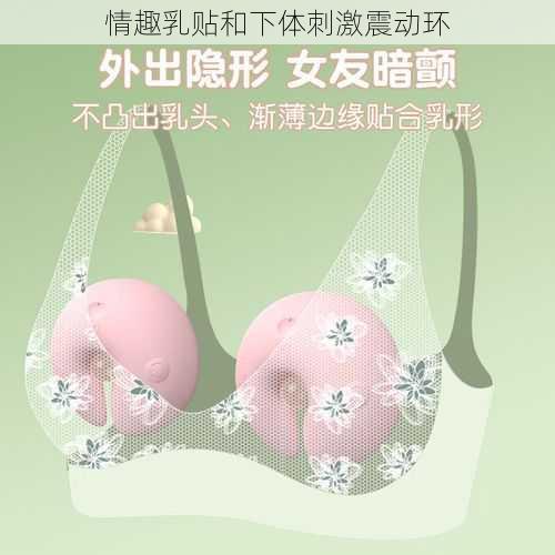 情趣乳贴和下体刺激震动环