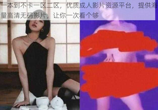 一本到不卡一区二区，优质成人影片资源平台，提供海量高清无码影片，让你一次看个够