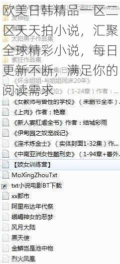 欧美日韩精品一区二区天天拍小说，汇聚全球精彩小说，每日更新不断，满足你的阅读需求