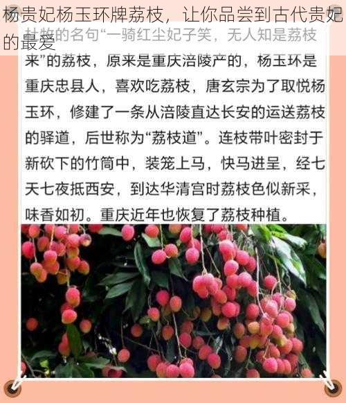 杨贵妃杨玉环牌荔枝，让你品尝到古代贵妃的最爱