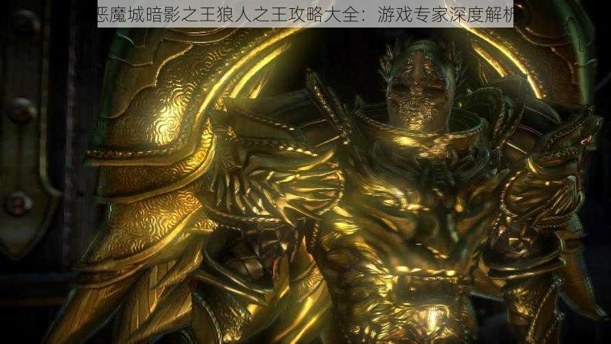 恶魔城暗影之王狼人之王攻略大全：游戏专家深度解析