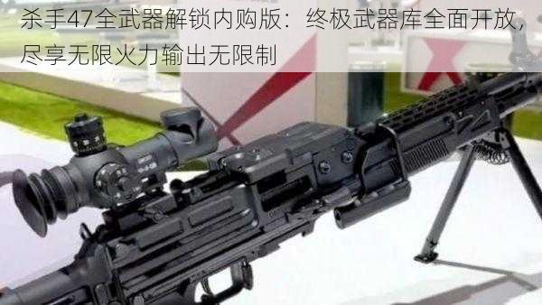 杀手47全武器解锁内购版：终极武器库全面开放，尽享无限火力输出无限制